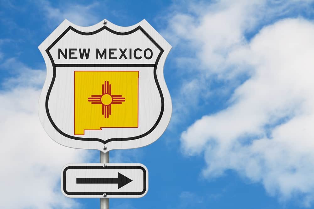 new mexico llc pros and cons